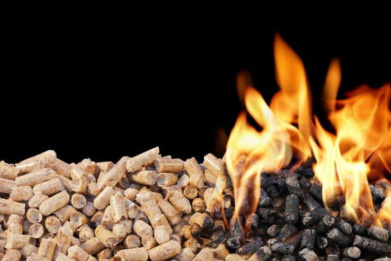 Combustible de biomasa y pellets