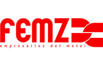 FEMZ