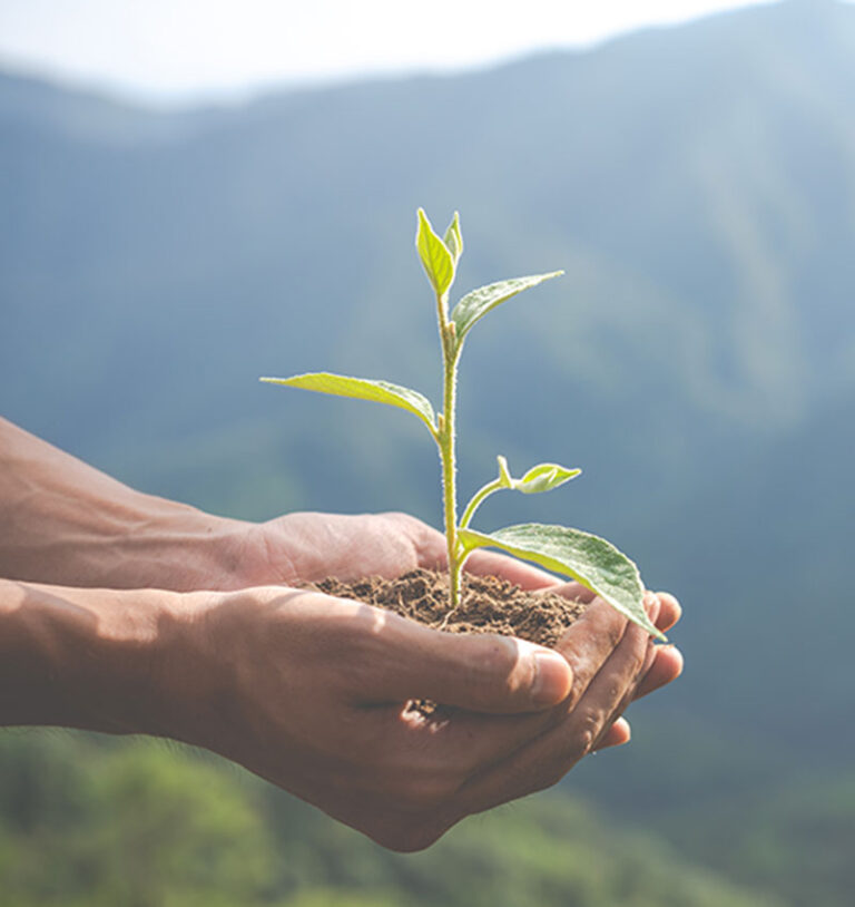 Compromiso de Igasa Fluidos con la reforestación